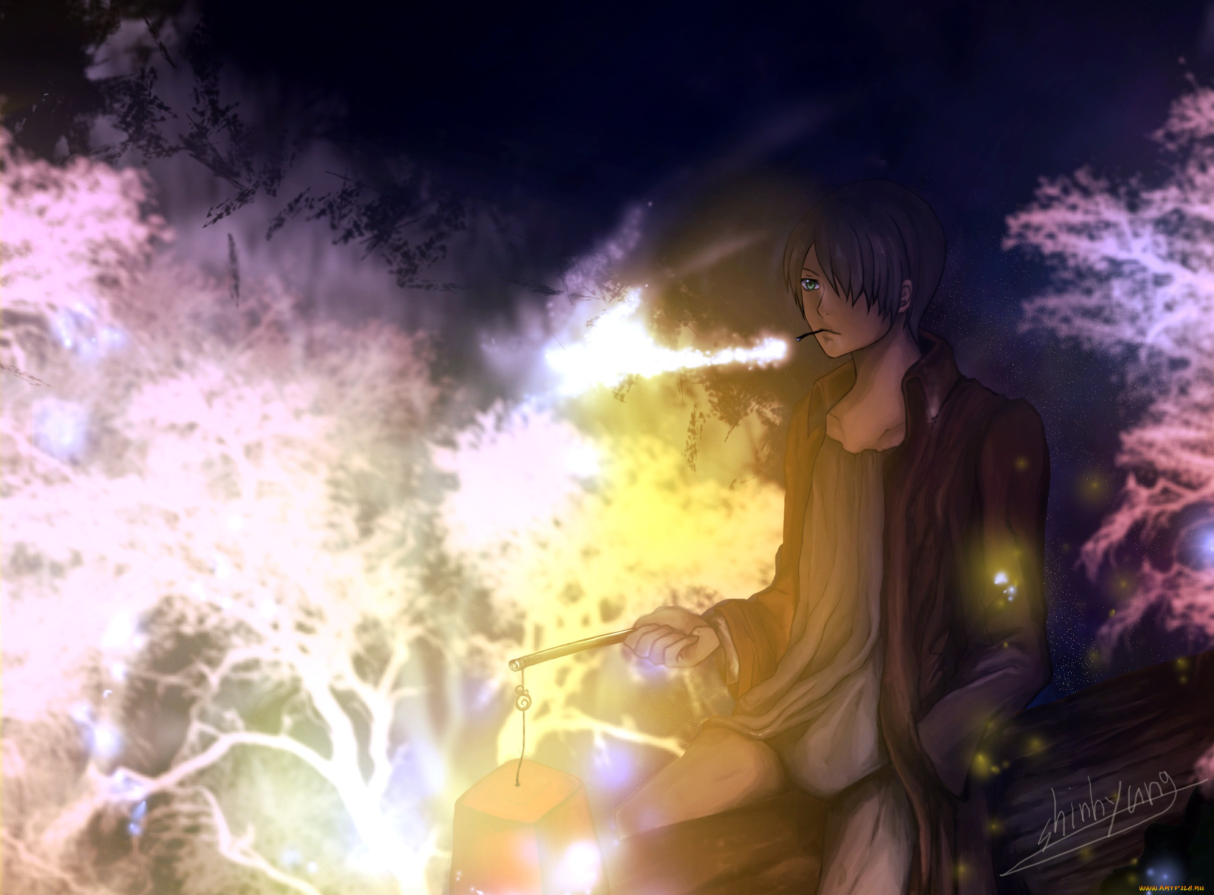 , mushishi, ginko